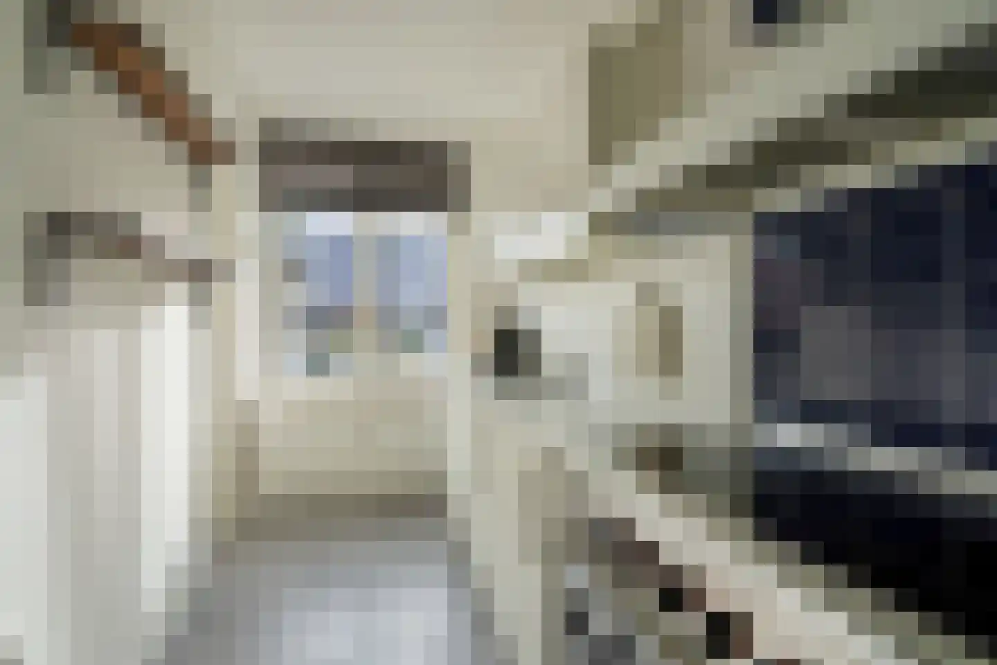 Generaal Spoorlaan 611 Rijswijk thumbnail 17