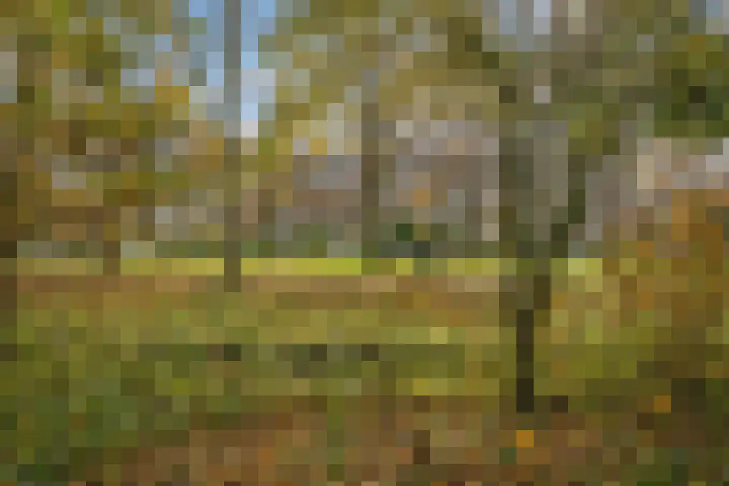 Generaal Spoorlaan 611 Rijswijk thumbnail 33