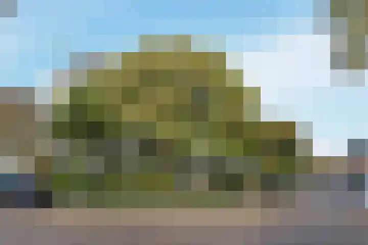 Generaal Spoorlaan 645 Rijswijk thumbnail 37