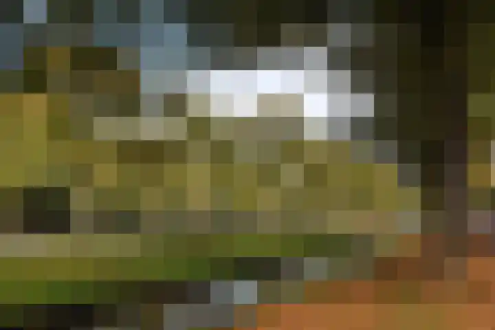 Generaal Spoorlaan 645 Rijswijk thumbnail 39