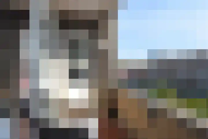 Generaal Spoorlaan 645 Rijswijk thumbnail 5