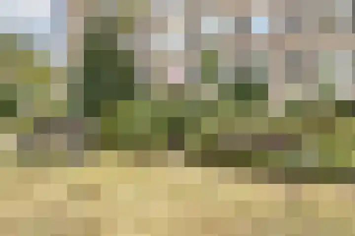 Generaal Spoorlaan 685 Rijswijk thumbnail 32