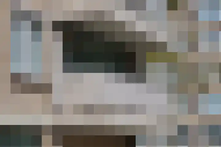 Generaal Spoorlaan 691 Rijswijk thumbnail 29