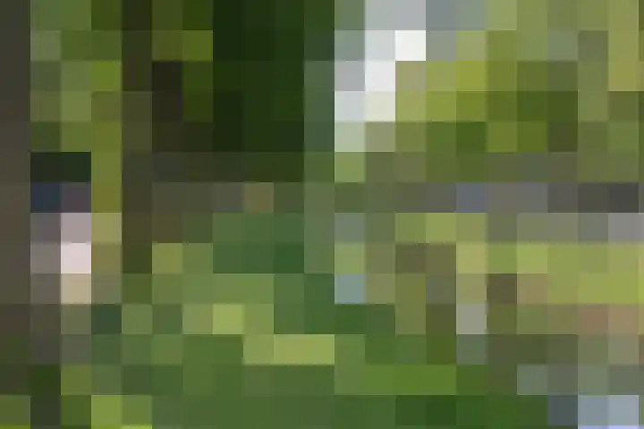Generaal Spoorlaan 691 Rijswijk thumbnail 31