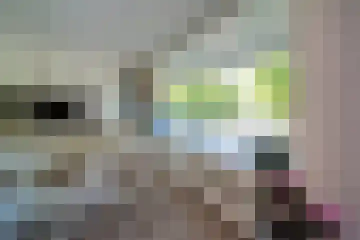 Generaal Spoorlaan 691 Rijswijk thumbnail 9