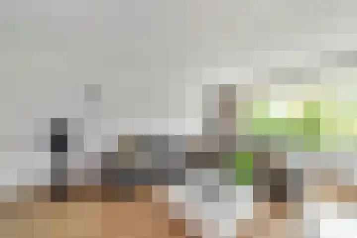 Generaal Spoorlaan 697 Rijswijk thumbnail 8