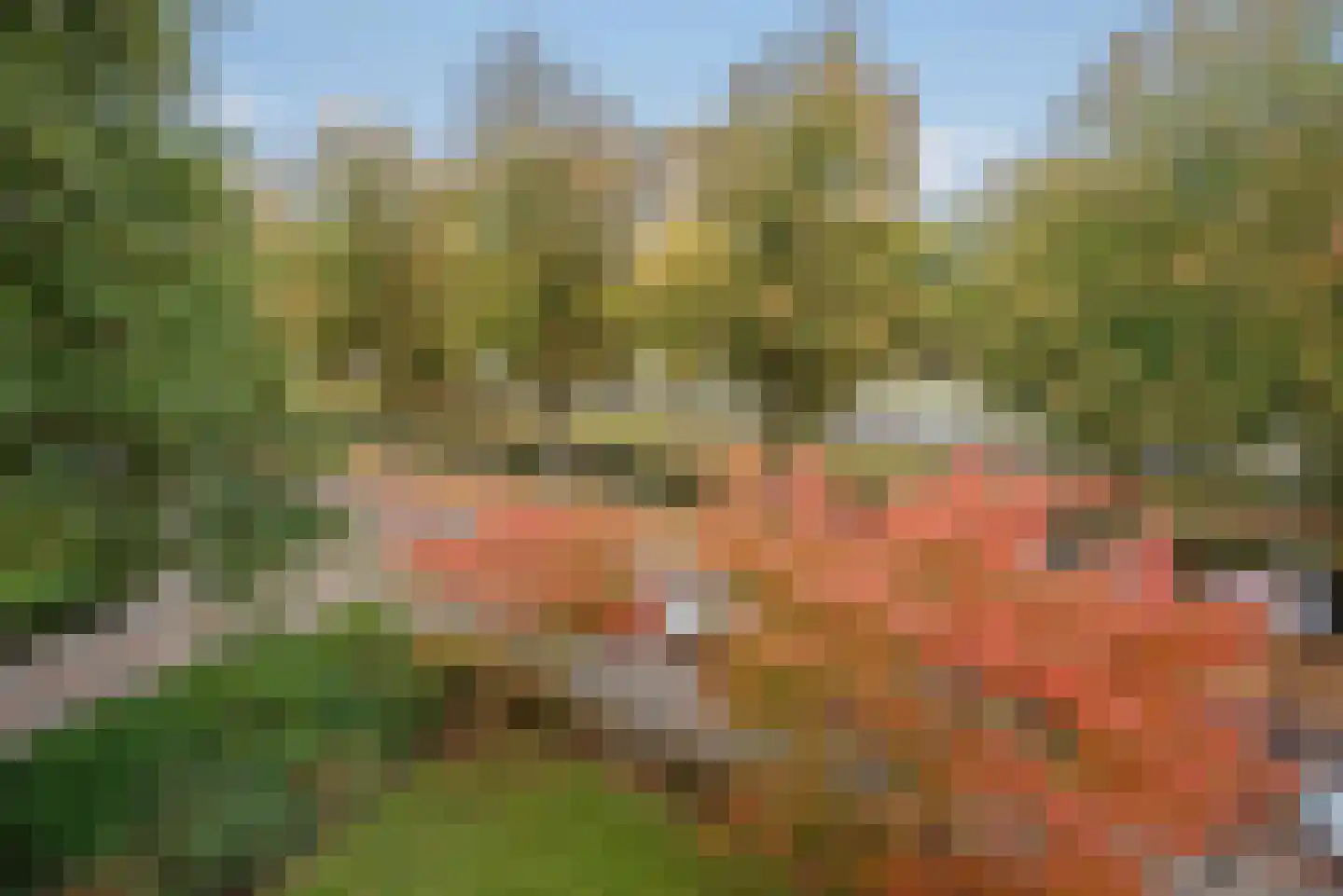 Generaal Spoorlaan 781 Rijswijk thumbnail 35
