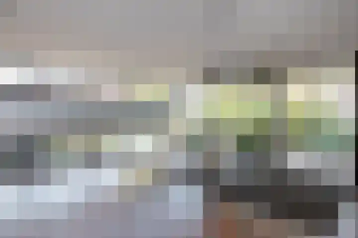 Generaal Spoorlaan 819 Rijswijk thumbnail 28
