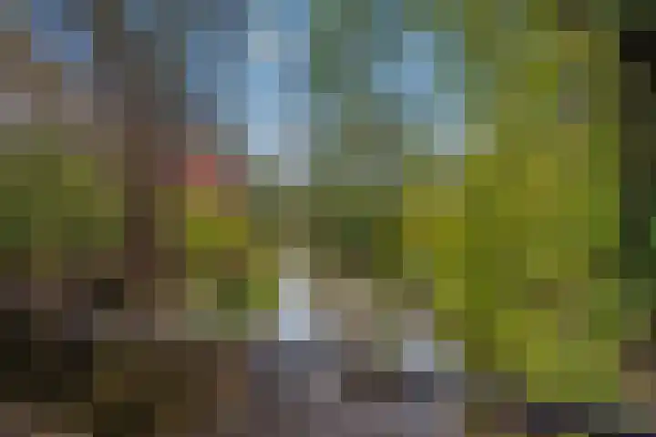 Generaal Spoorlaan 819 Rijswijk thumbnail 30