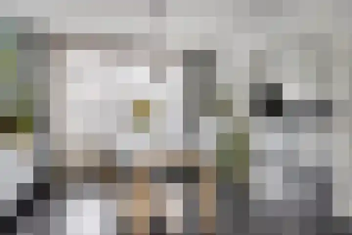 Generaal Spoorstraat 29 Bergen op Zoom thumbnail 4