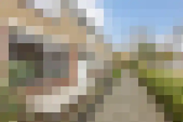 Generaal Spoorstraat 43 Bergen op Zoom thumbnail 6
