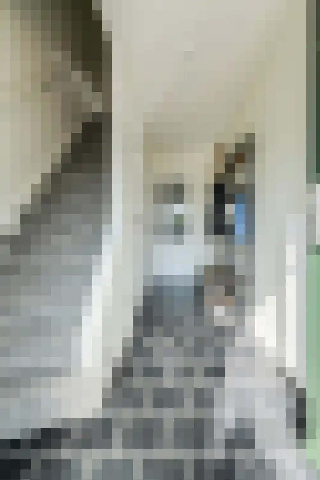 Generaal Spoorstraat 46 Bergen op Zoom thumbnail 20