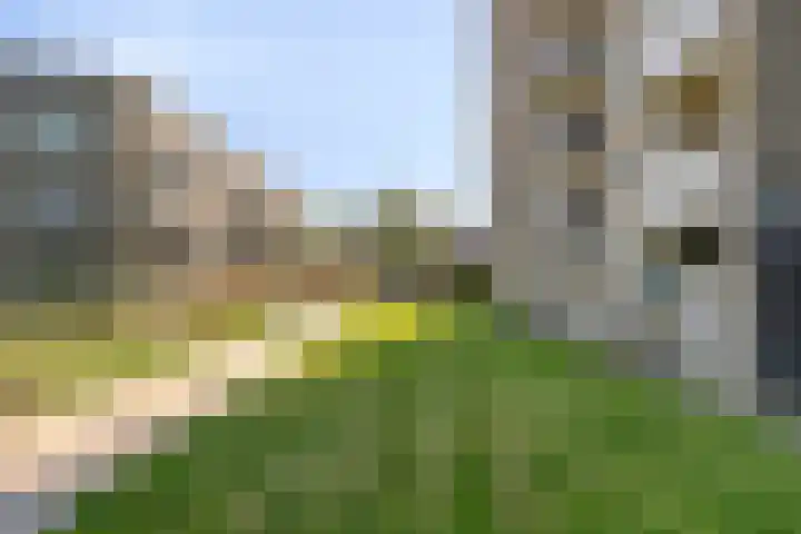 Generaal Stedmanstraat 110 Eindhoven thumbnail 32
