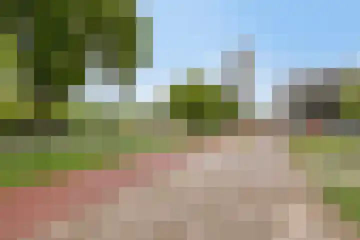 Generaal Stedmanstraat 152 Eindhoven thumbnail 32