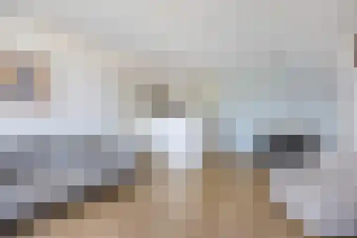 Generaal Stedmanstraat 186 Eindhoven thumbnail 9