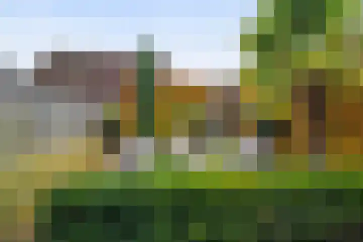 Generaal Stedmanstraat 20 Eindhoven thumbnail 16