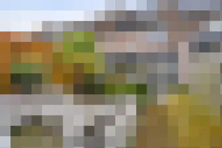 Generaal Stedmanstraat 20 Eindhoven thumbnail 17