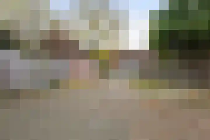 Generaal Stedmanstraat 20 Eindhoven thumbnail 20