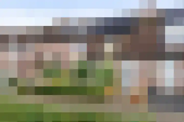 Generaal Stedmanstraat 20 Eindhoven thumbnail 23