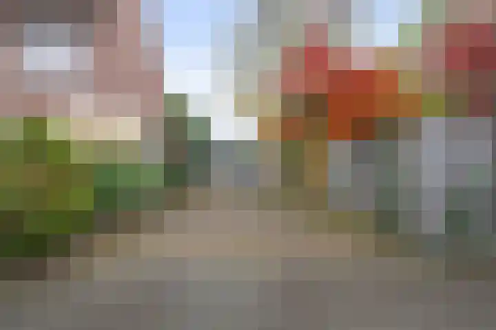 Generaal Stedmanstraat 20 Eindhoven thumbnail 27
