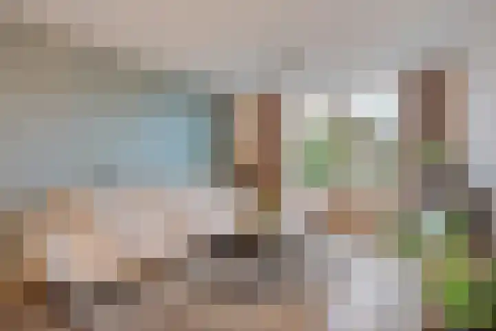 Generaal Stedmanstraat 20 Eindhoven thumbnail 30