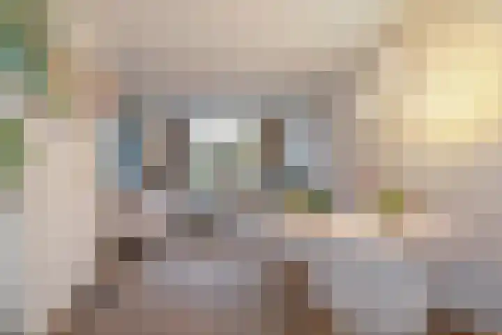 Generaal Stedmanstraat 20 Eindhoven thumbnail 33