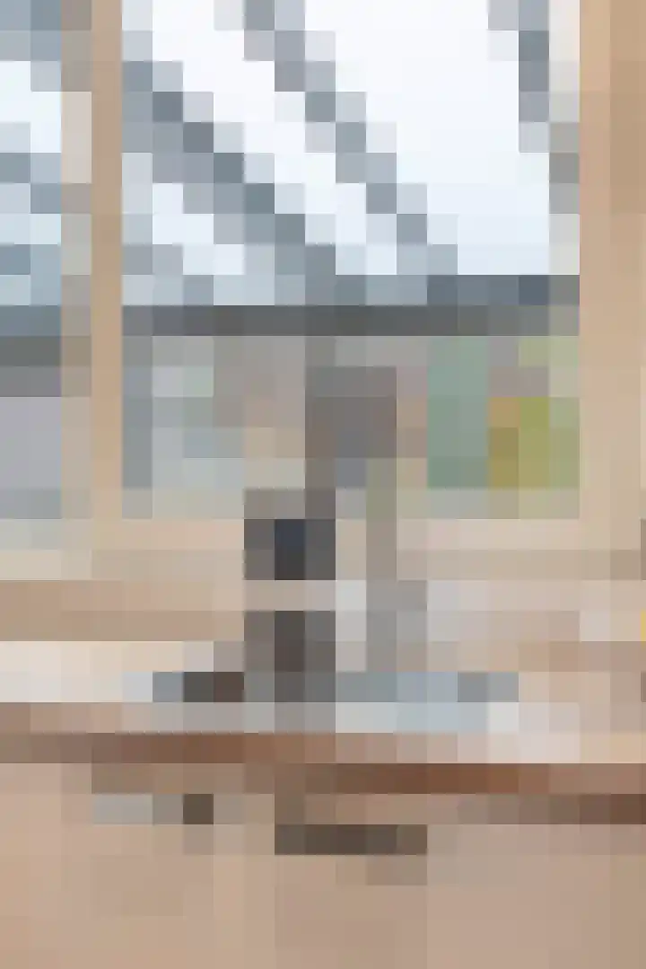 Generaal Stedmanstraat 20 Eindhoven thumbnail 35