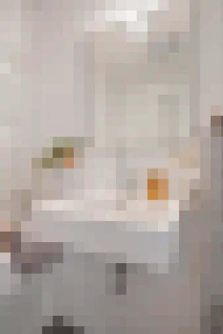 Generaal Stedmanstraat 20 Eindhoven thumbnail 38