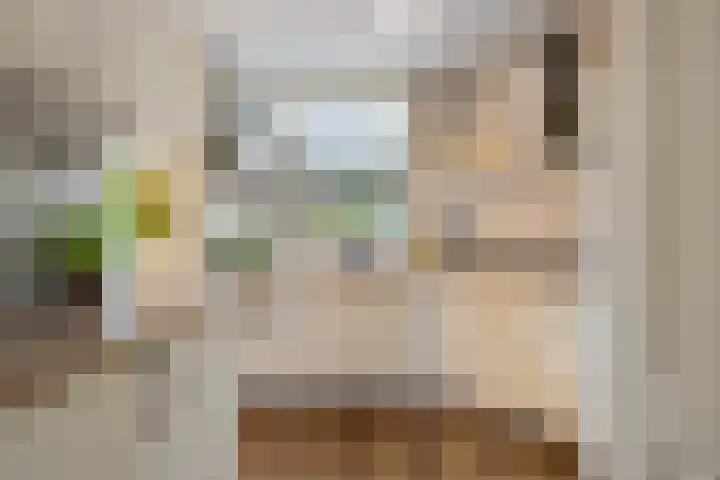 Generaal Stedmanstraat 20 Eindhoven thumbnail 4