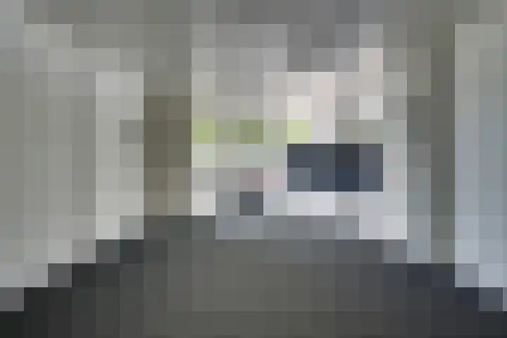 Generaal Stedmanstraat 246 Eindhoven thumbnail 12