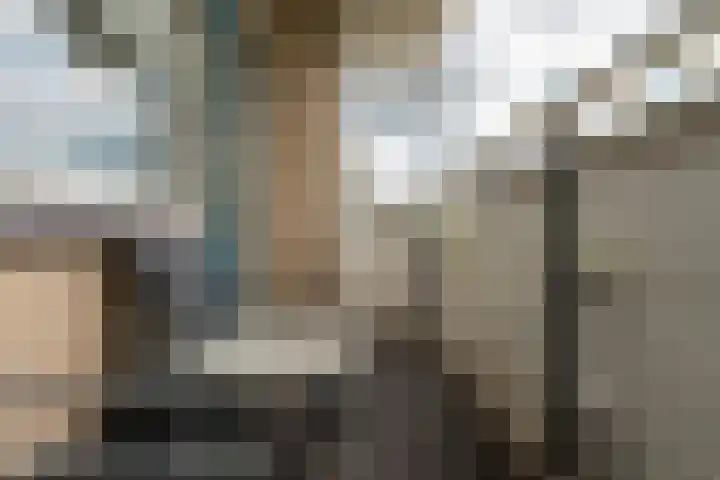 Generaal Stedmanstraat 246 Eindhoven thumbnail 41