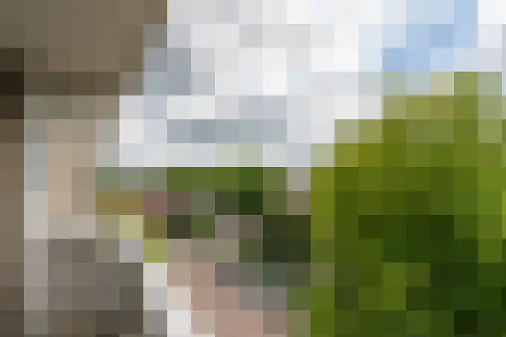 Generaal Stedmanstraat 246 Eindhoven thumbnail 42