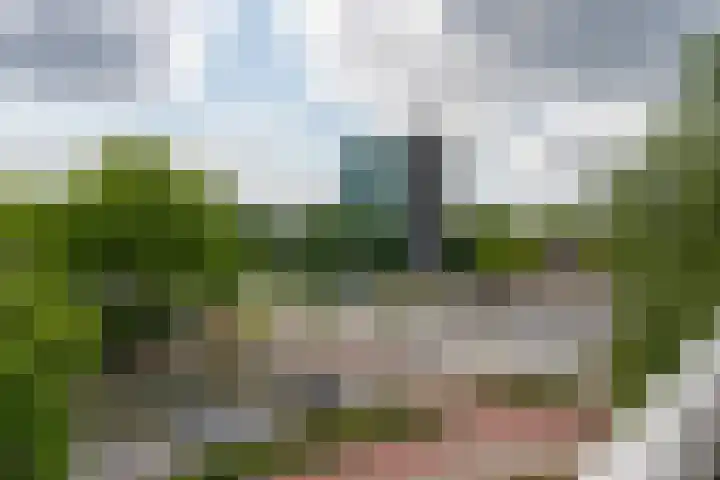 Generaal Stedmanstraat 246 Eindhoven thumbnail 43