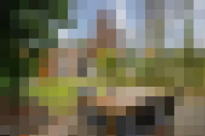 Generaal Stedmanstraat 27 Eindhoven thumbnail 37