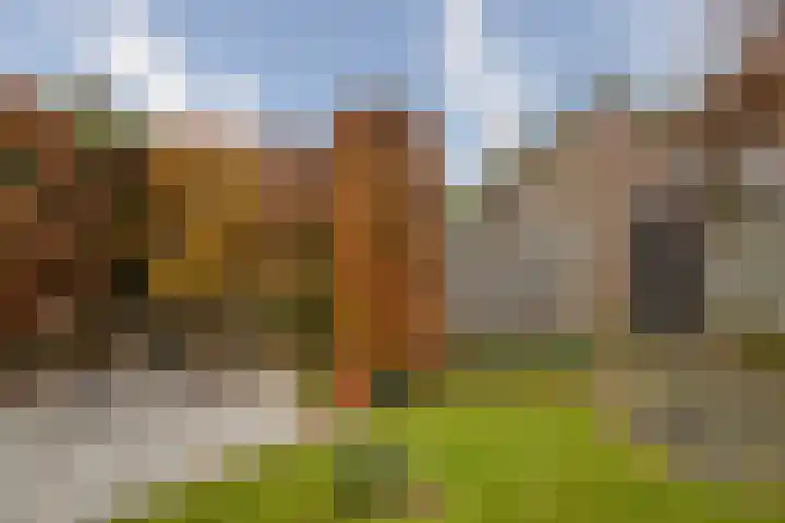 Generaal Stedmanstraat 27 Eindhoven thumbnail 38
