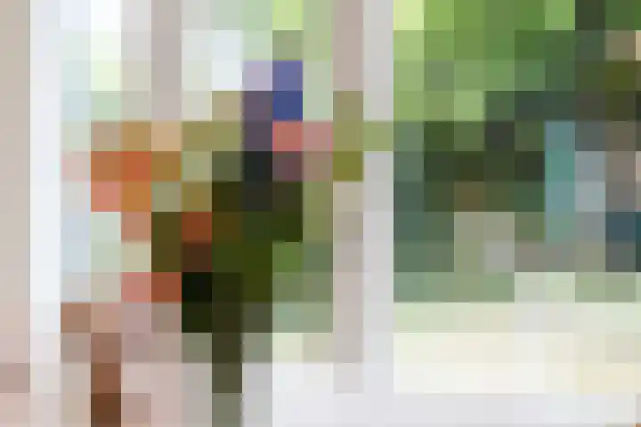 Generaal van Dedemlaan 104 Eindhoven thumbnail 18