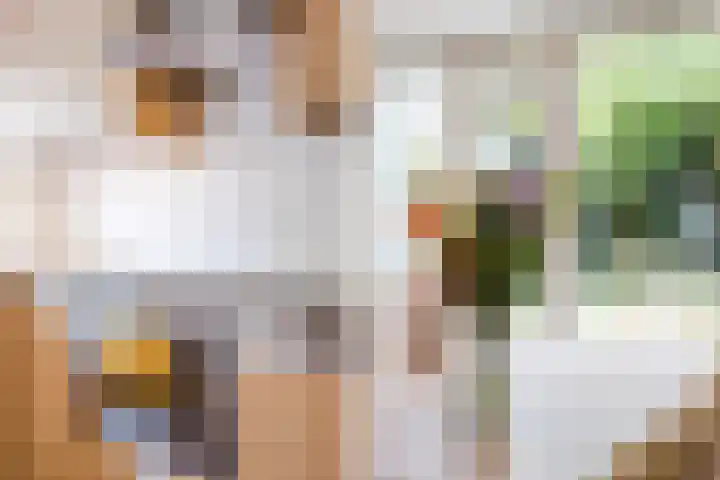 Generaal van Dedemlaan 104 Eindhoven thumbnail 19