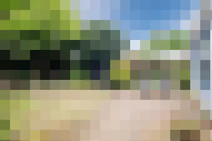 Generaal van Dedemlaan 104 Eindhoven thumbnail 32