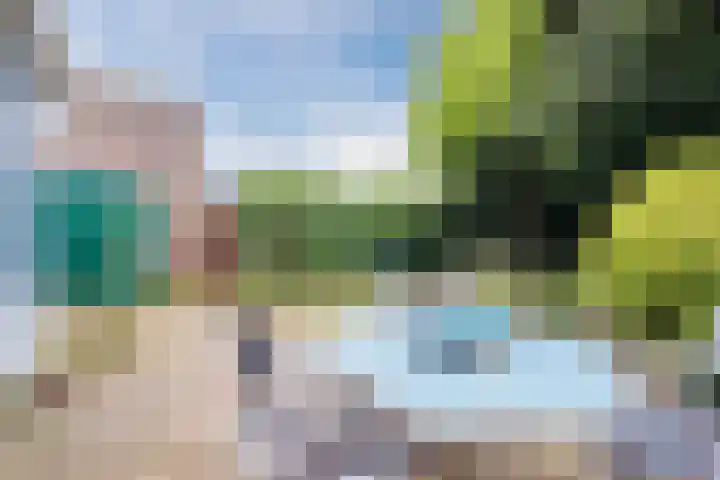 Generaal van Dedemlaan 104 Eindhoven thumbnail 33