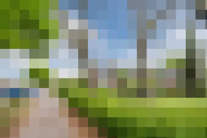 Generaal van Dedemlaan 104 Eindhoven thumbnail 36
