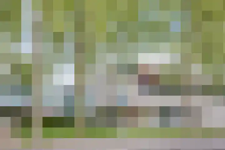 Generaal van Dedemlaan 104 Eindhoven thumbnail 37