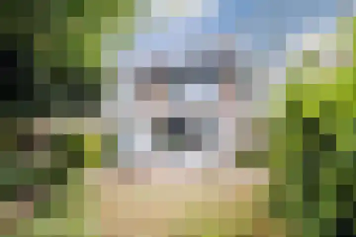 Generaal van Dedemlaan 104 Eindhoven thumbnail 4