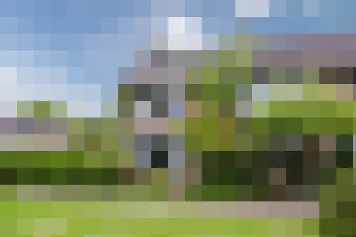 Generaal van Dedemlaan 104 Eindhoven thumbnail 5