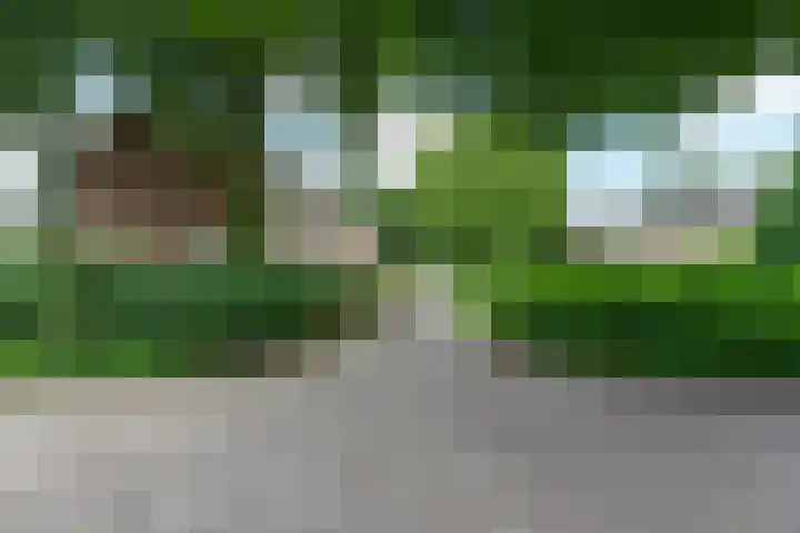 Generaal van Dedemlaan 130 Eindhoven thumbnail 6