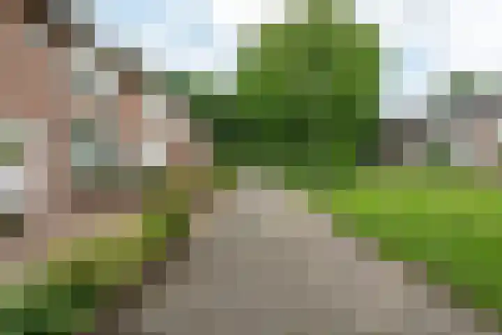 Generaal van Dedemlaan 130 Eindhoven thumbnail 7