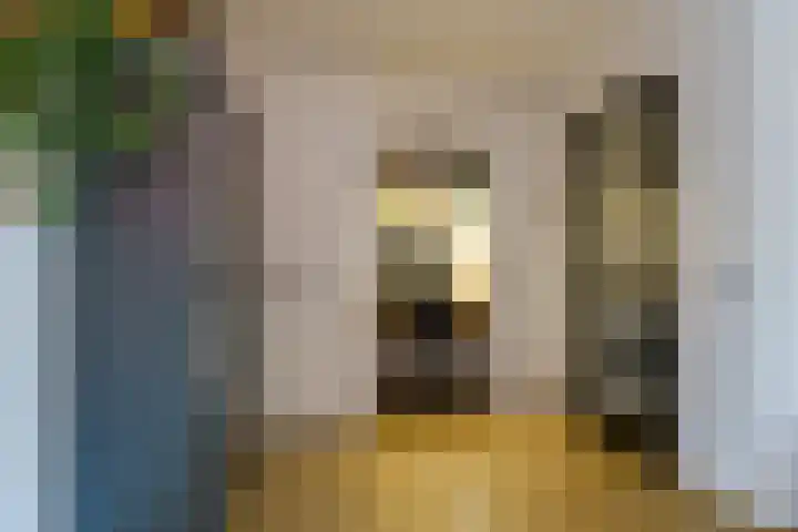 Generaal van Dedemlaan 140 Eindhoven thumbnail 14
