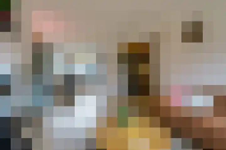 Generaal van Dedemlaan 140 Eindhoven thumbnail 15