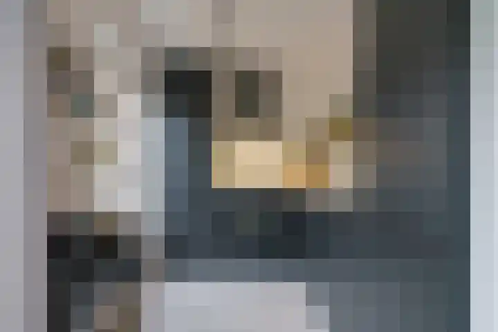 Generaal van Dedemlaan 140 Eindhoven thumbnail 18