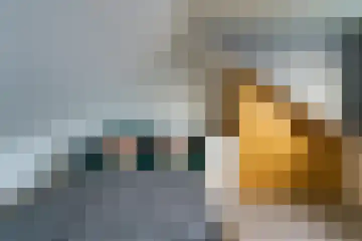 Generaal van Dedemlaan 140 Eindhoven thumbnail 36