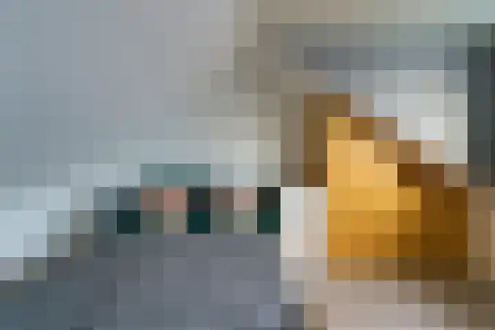 Generaal van Dedemlaan 140 Eindhoven thumbnail 4